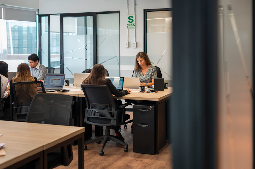 Comunal Begonias image 5