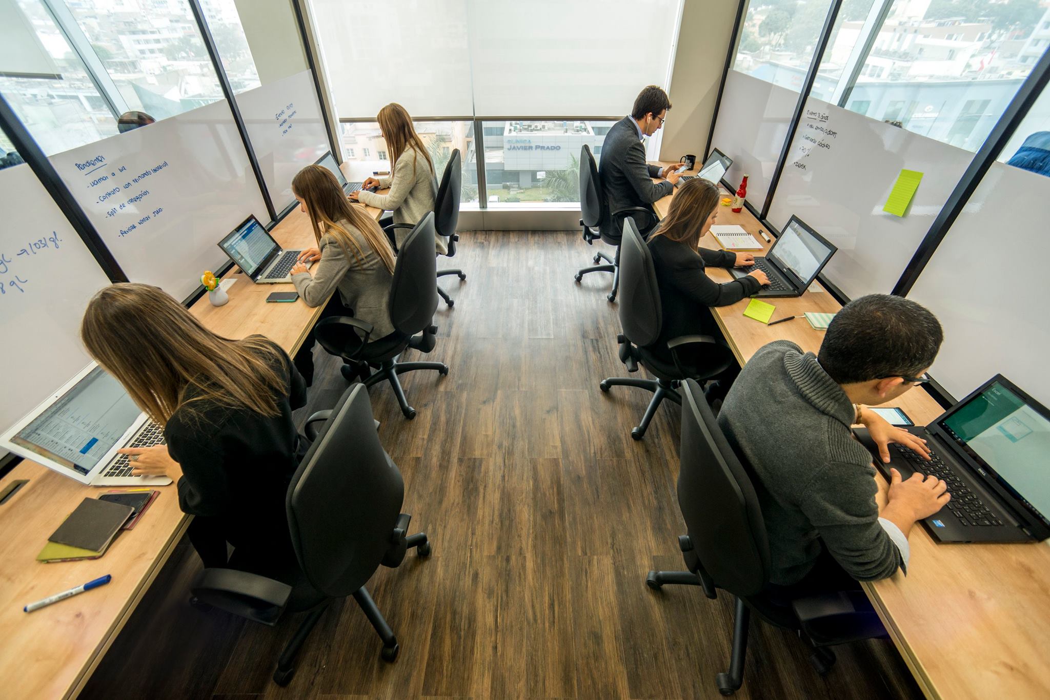 Comunal  Orquídeas image 4