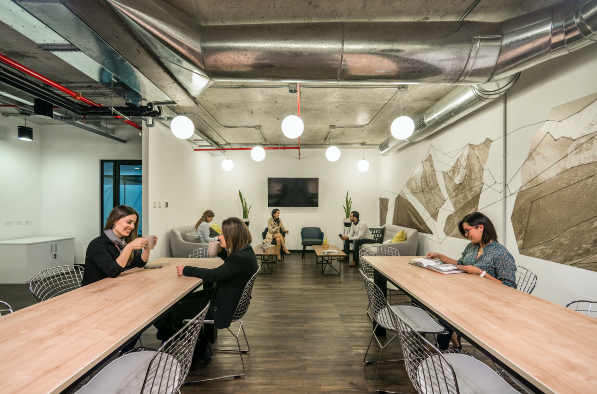 Comunal  Orquídeas image 5