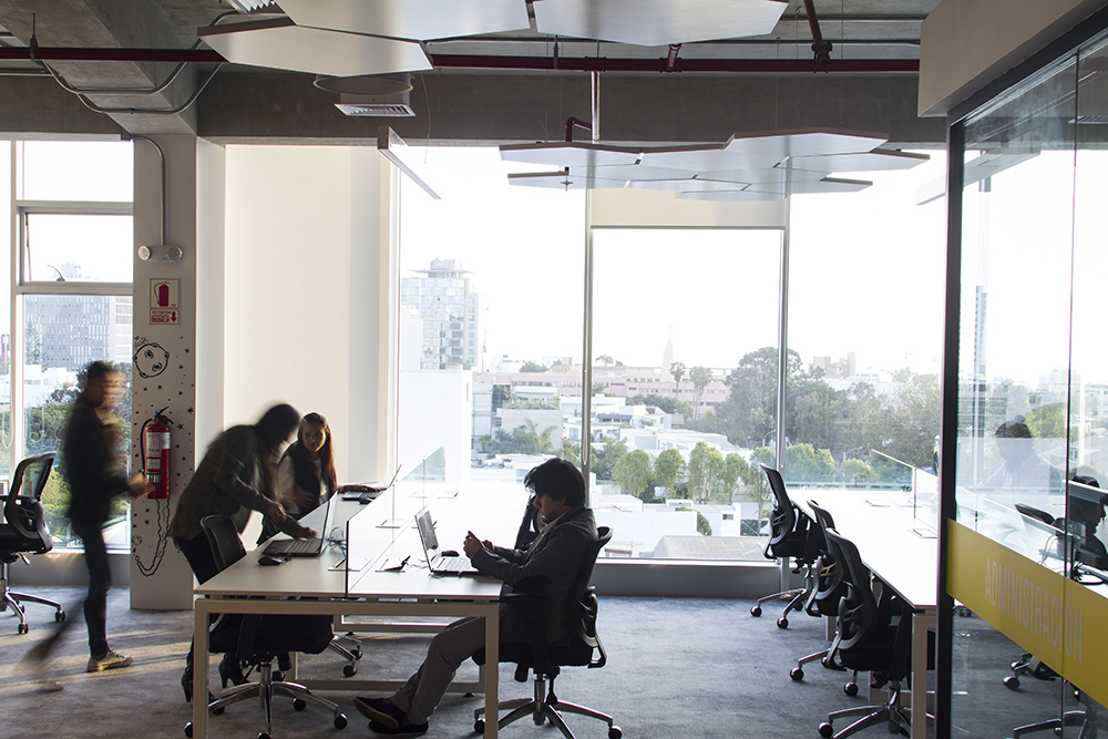 Origami Cowork image 4