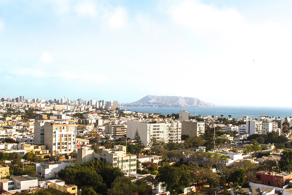 Origami Cowork image 5