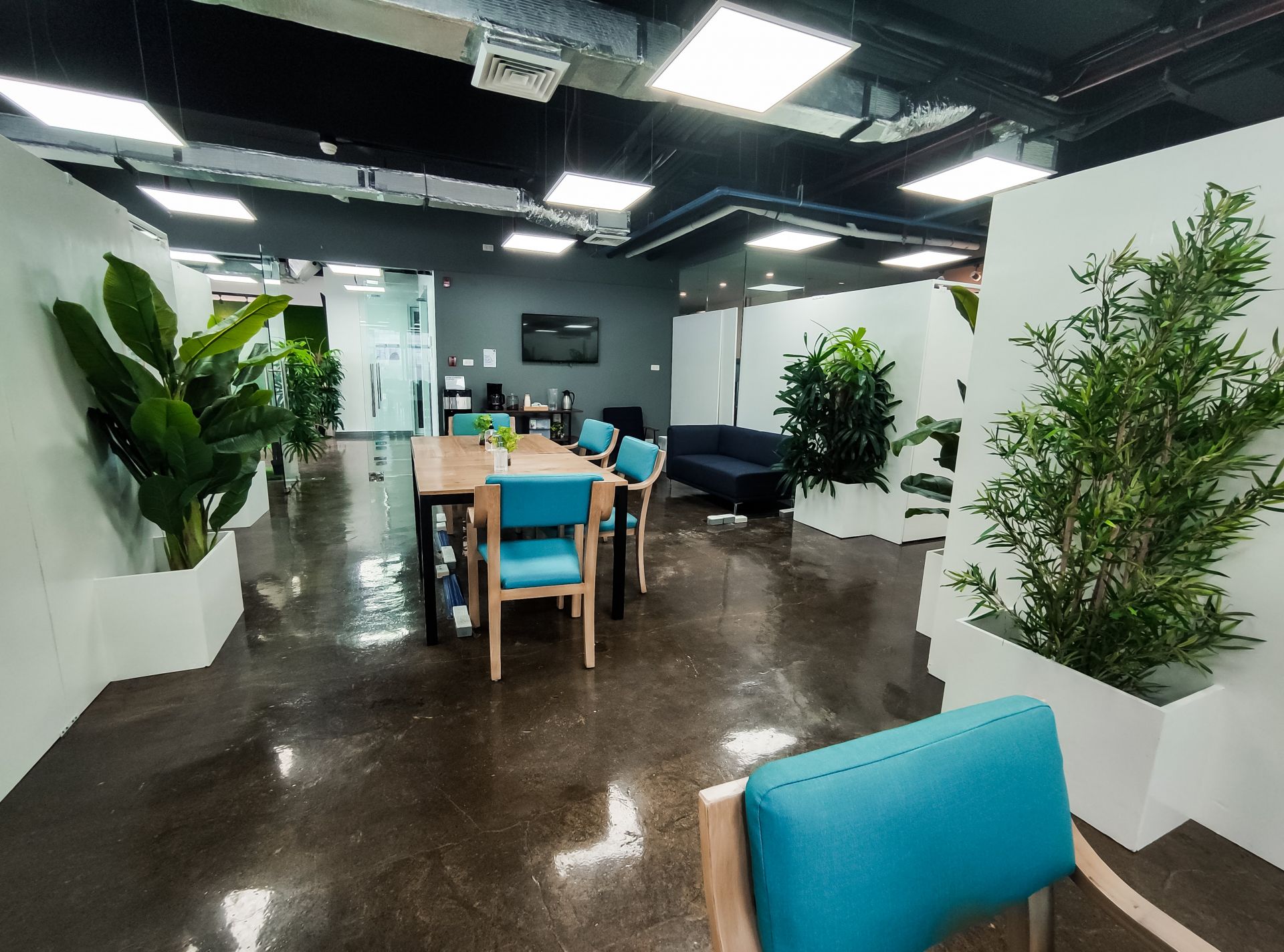 The Company Cebu - IT Park image 3