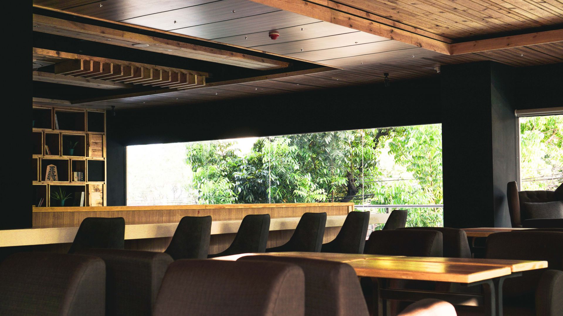 Blueturtle Premium Lounge image 2