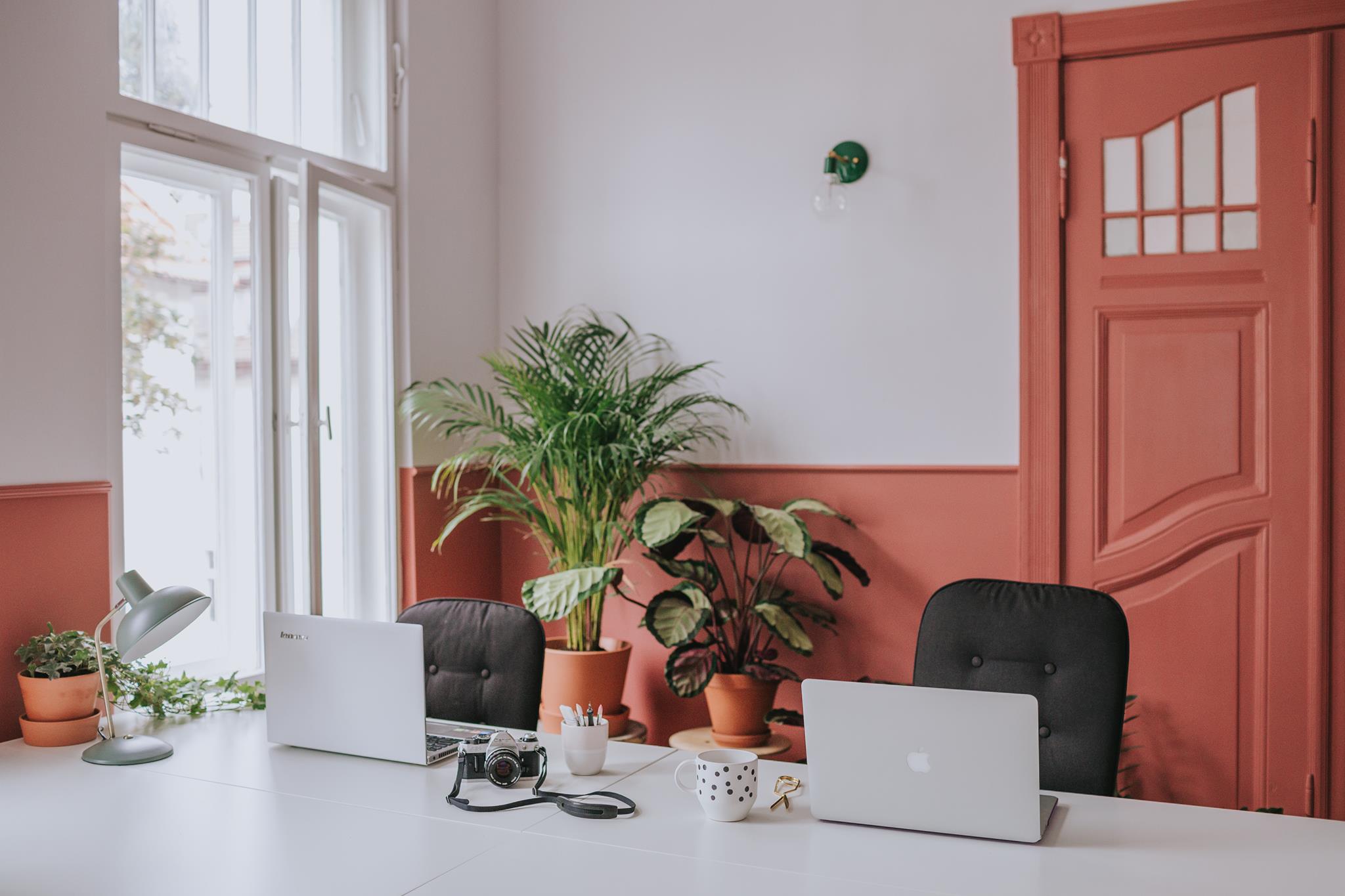 Swietlica Collective Space image 4