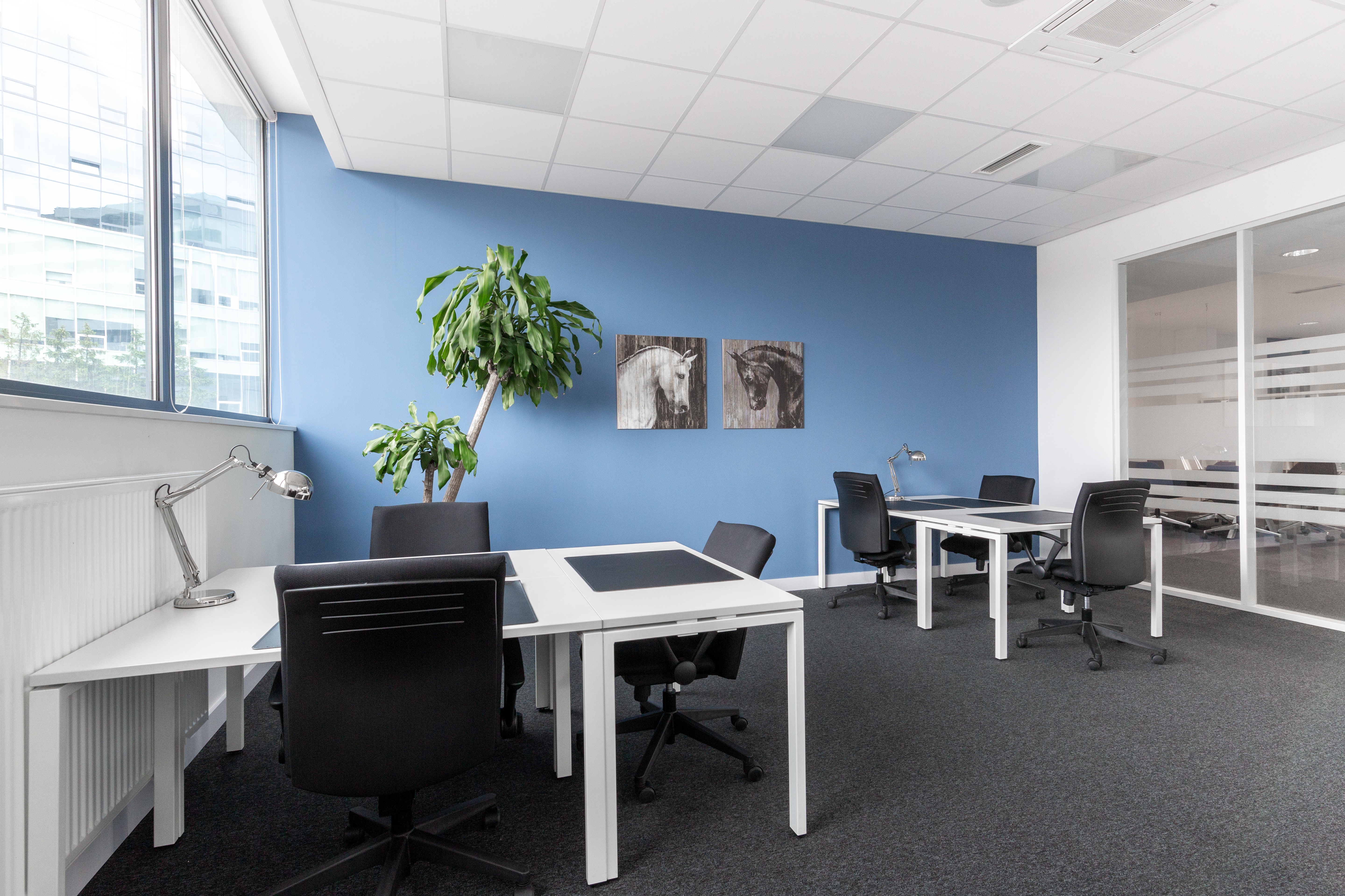 Regus - Krakow, Graffit House image 3