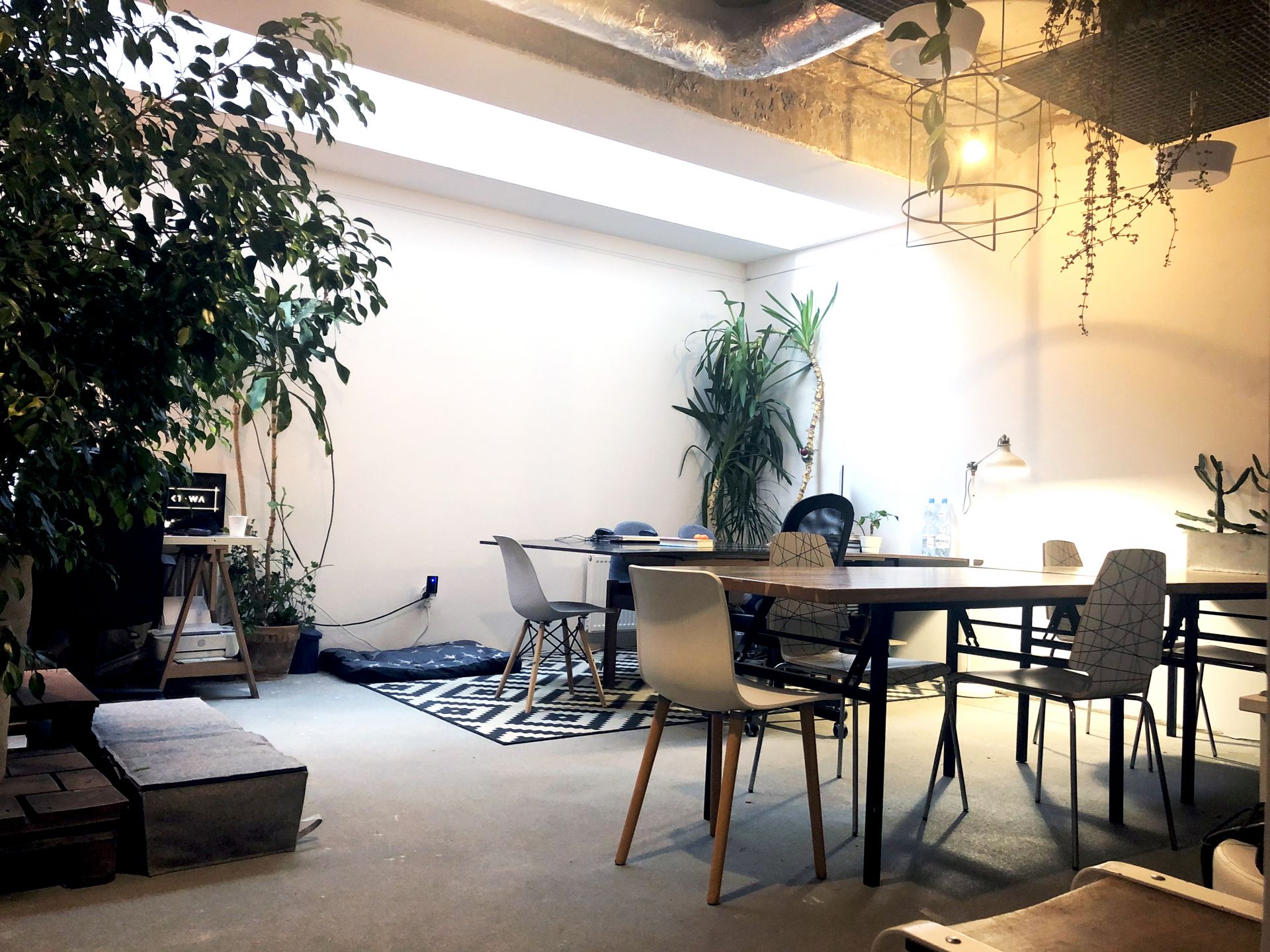 Projektowa Co-working Design Studio image 3