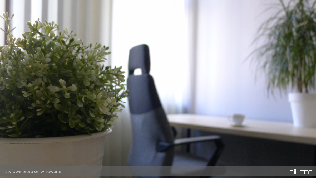 Biurco image 3