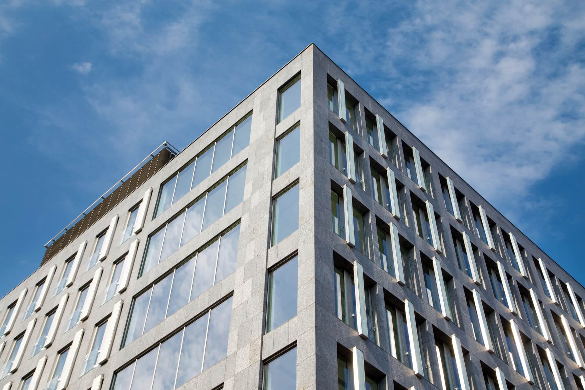 Wolf Marszałkowska image 4