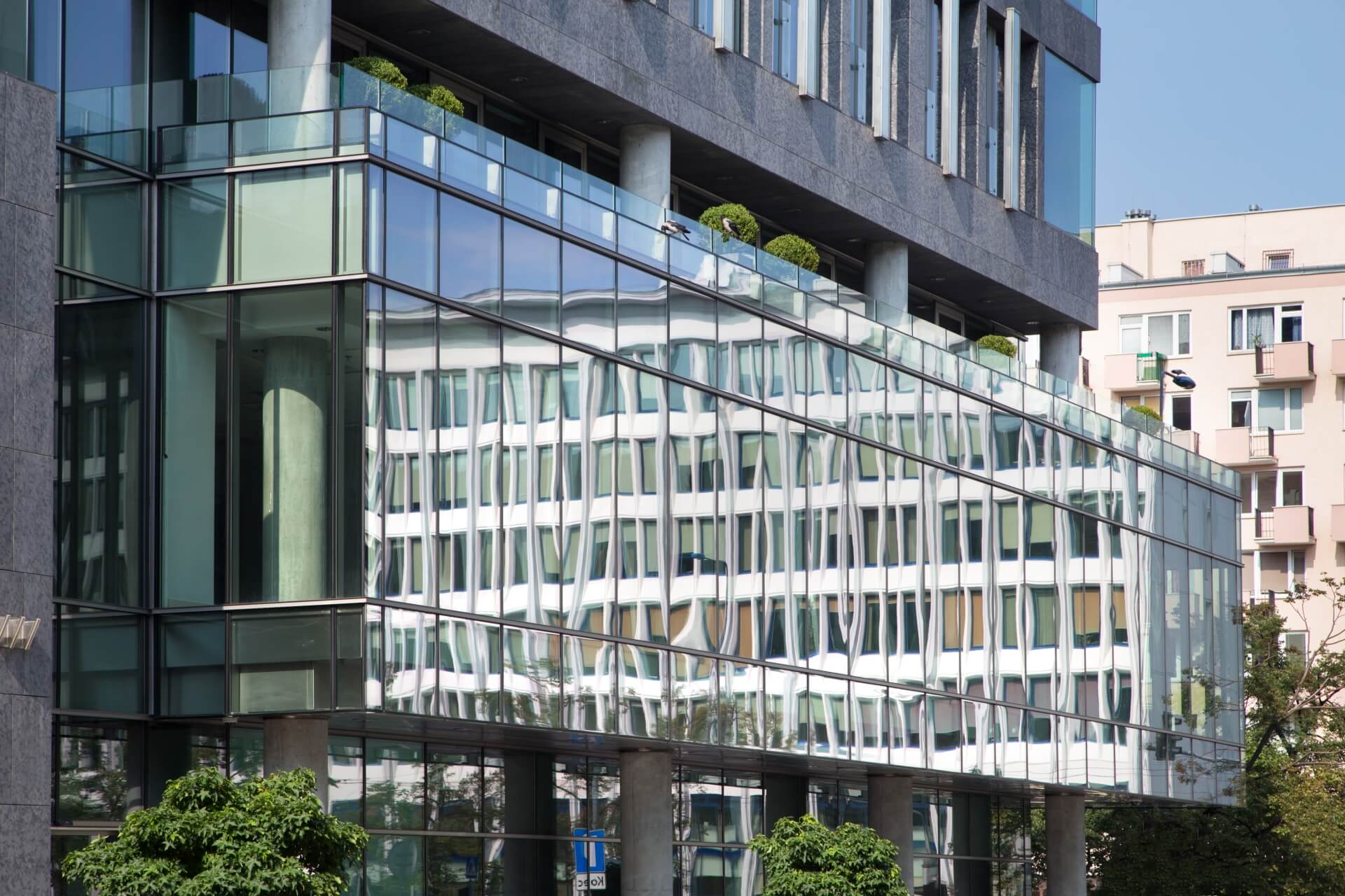 Wolf Marszałkowska image 3