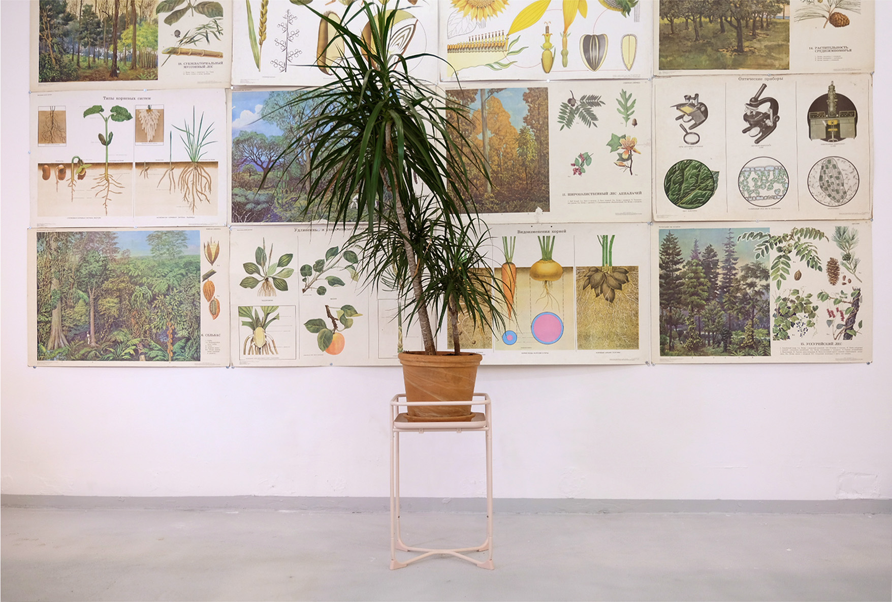 FANDOM Cowork image 3