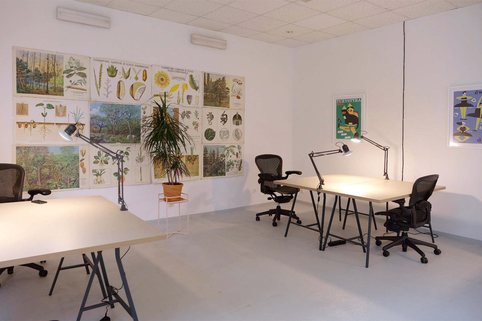 FANDOM Cowork image 5