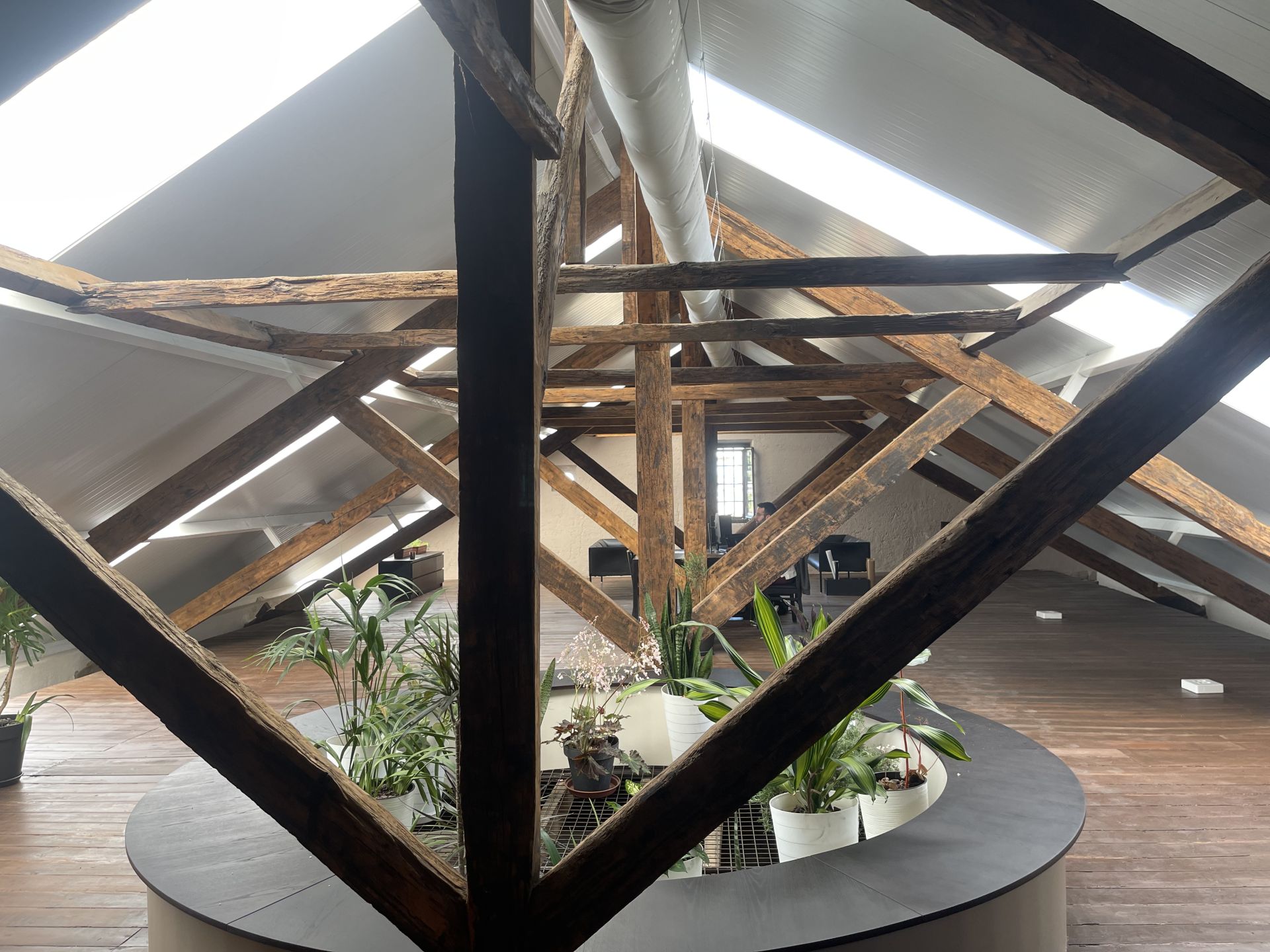 TECTO STUDIO image 4