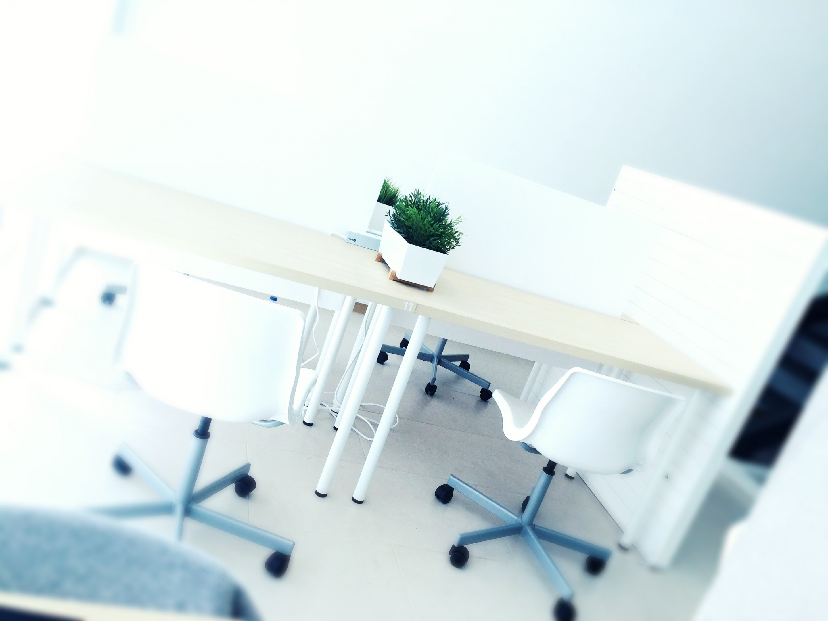 Ocupa Cowork Aveiro image 5