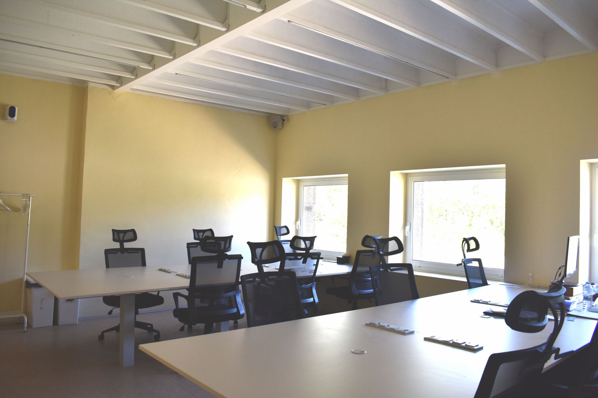 Green Utopia image 2