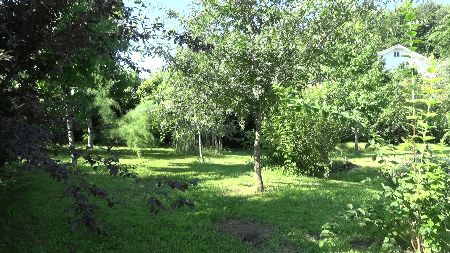 Green Utopia image 5