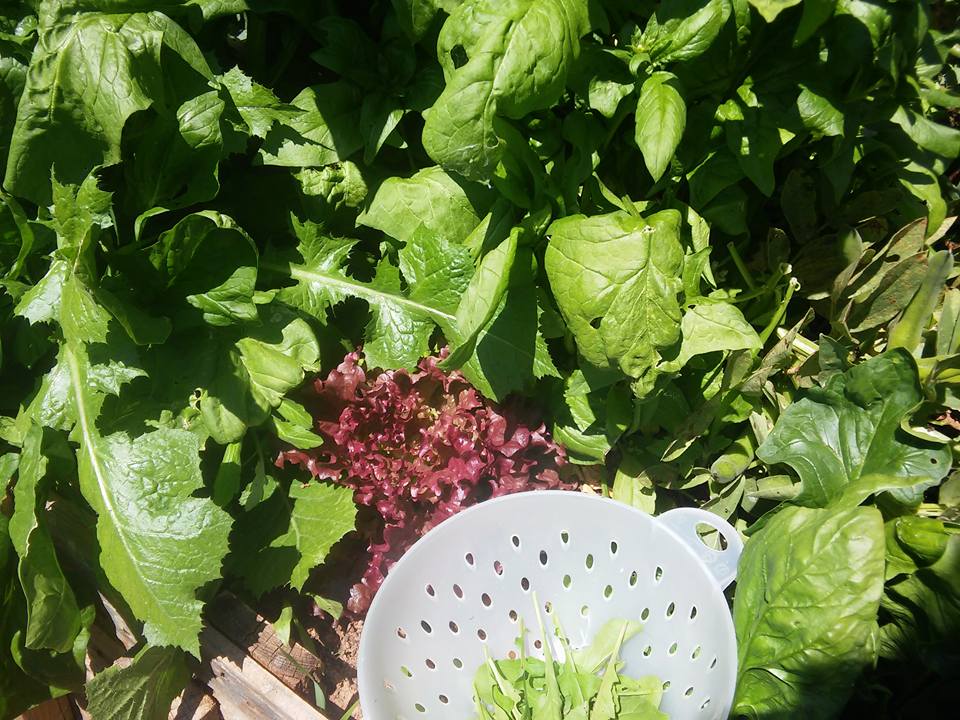 COWORK in Nature image 4