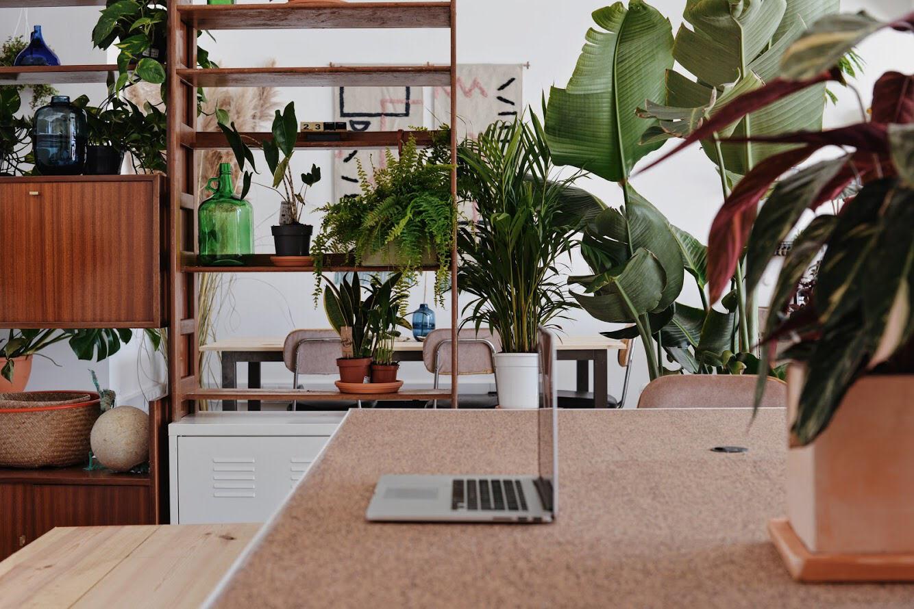 Kelp Cowork Ericeira image 4