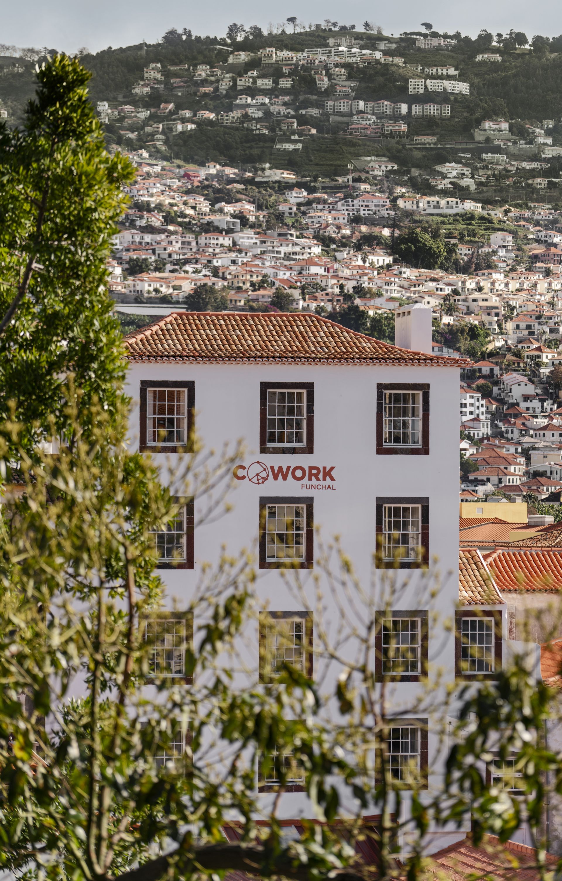 Cowork Funchal image 3