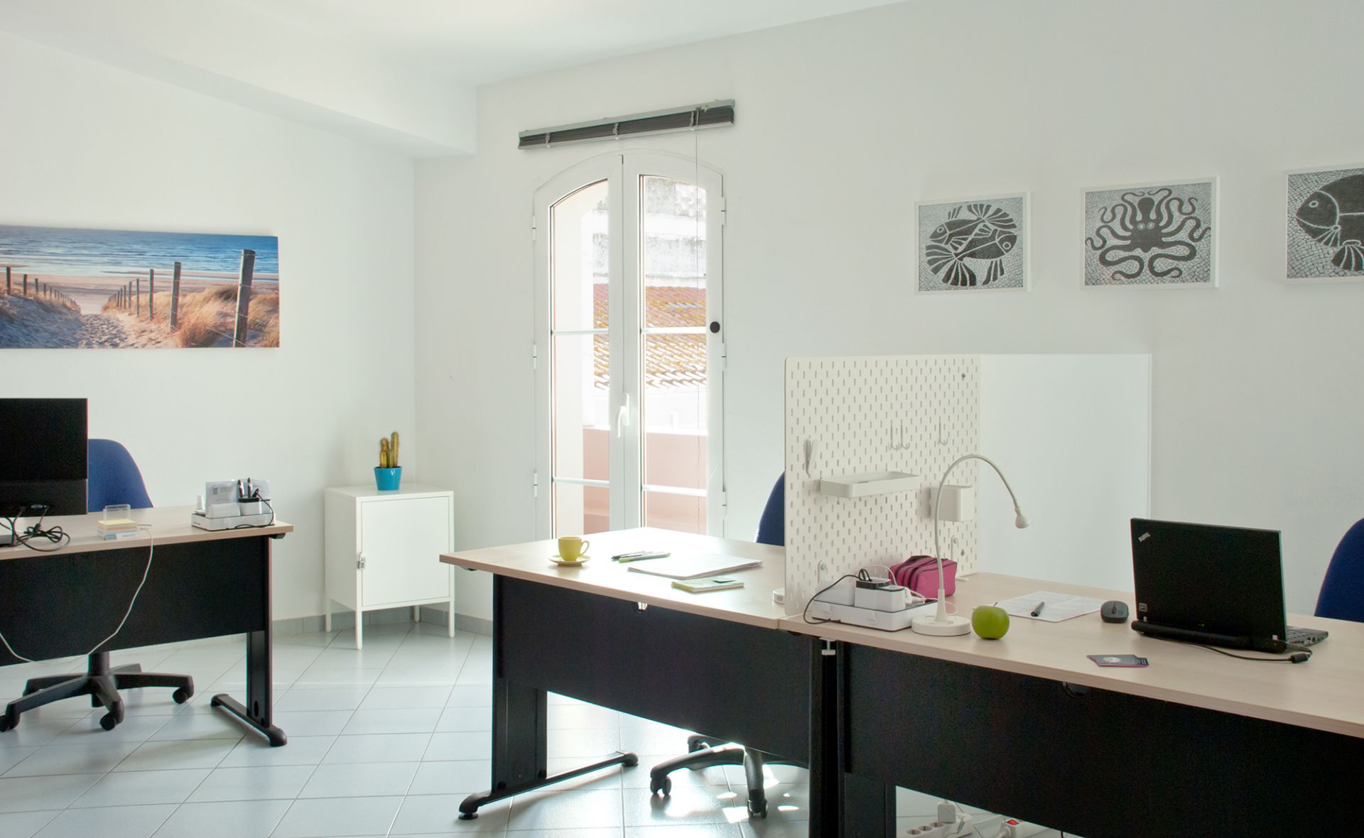 Centro lagos image 3