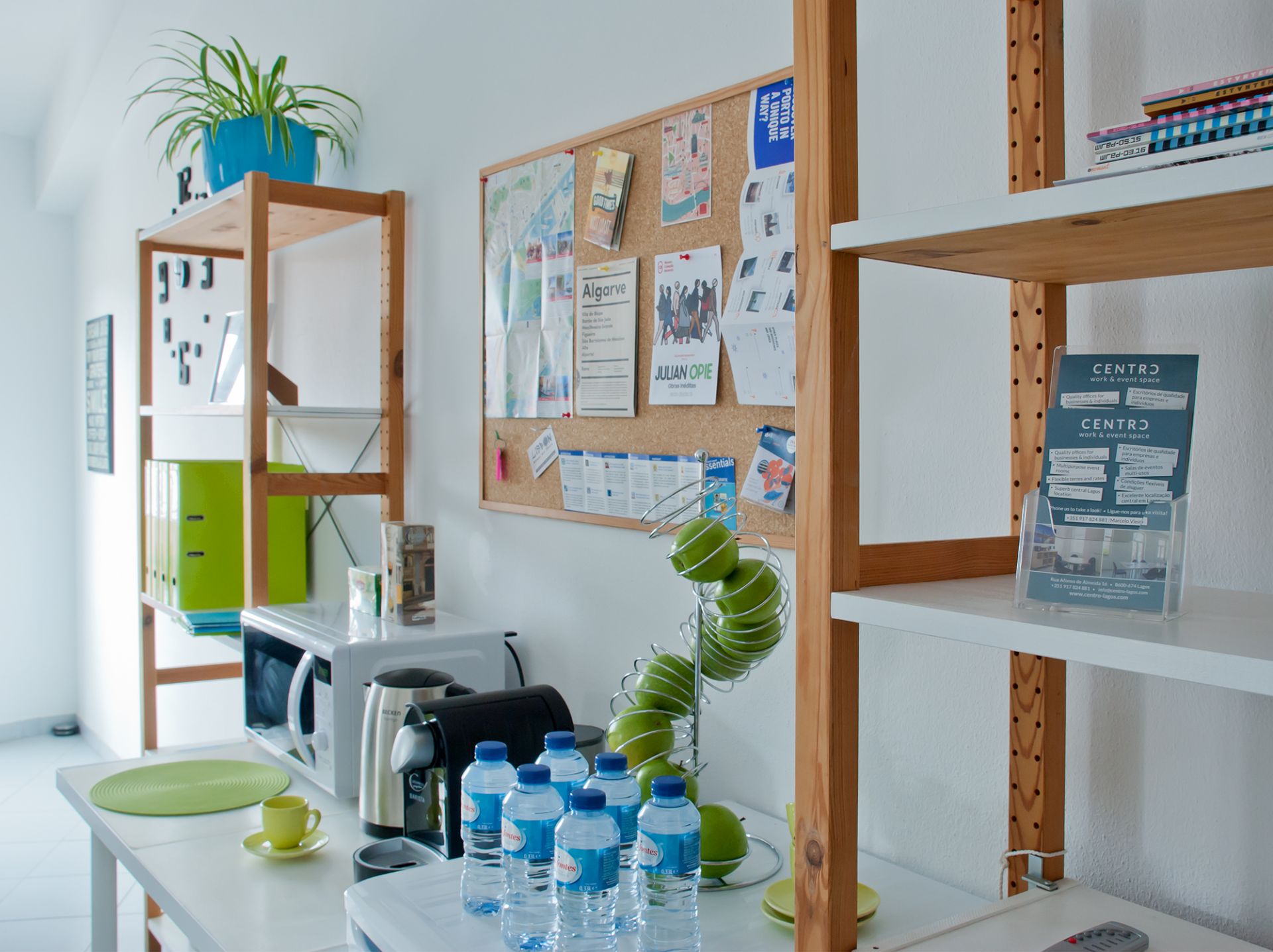 Centro lagos image 5