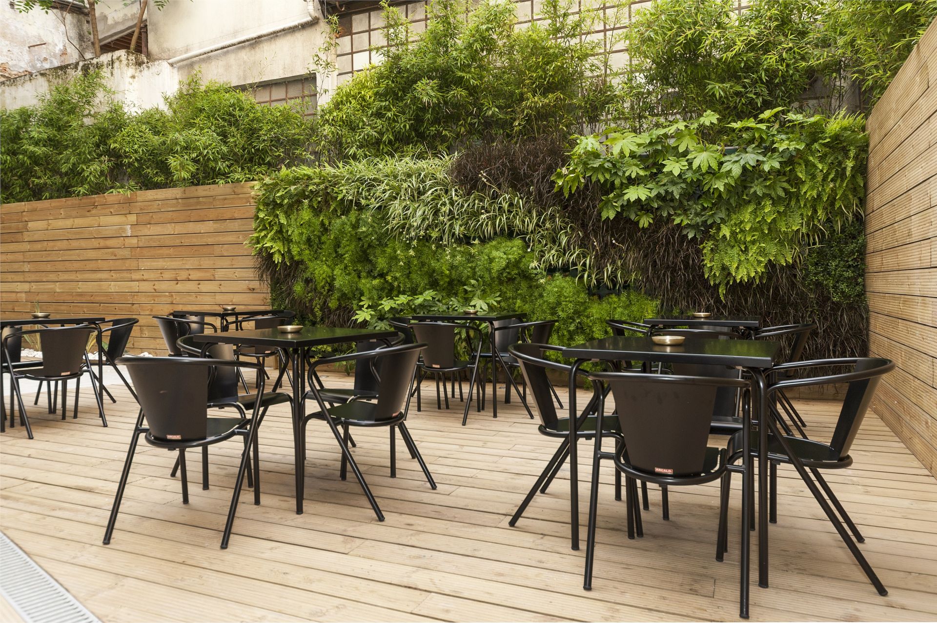 Cheese & Wine image 5