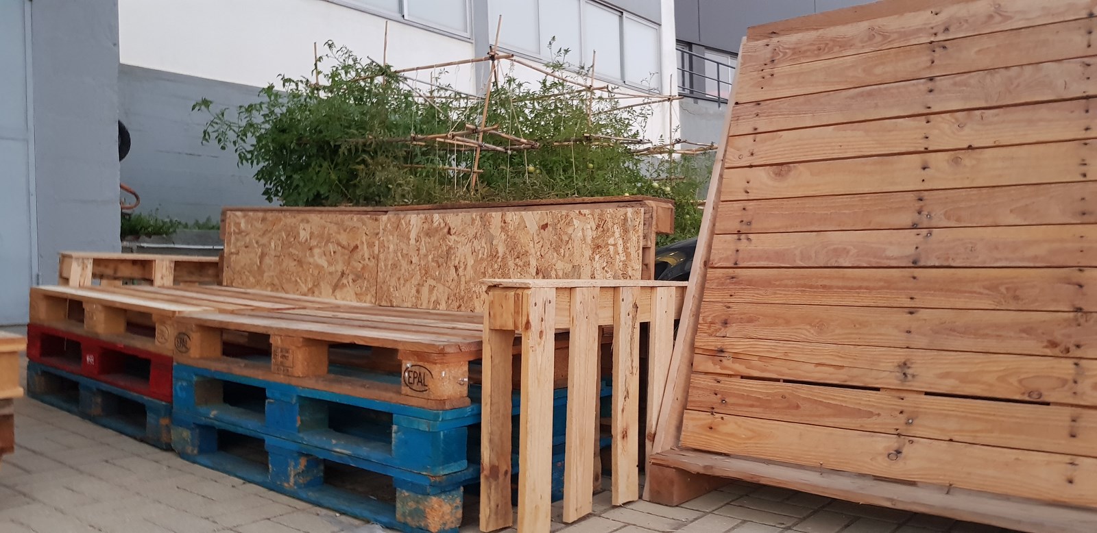 CoworkDavila image 2