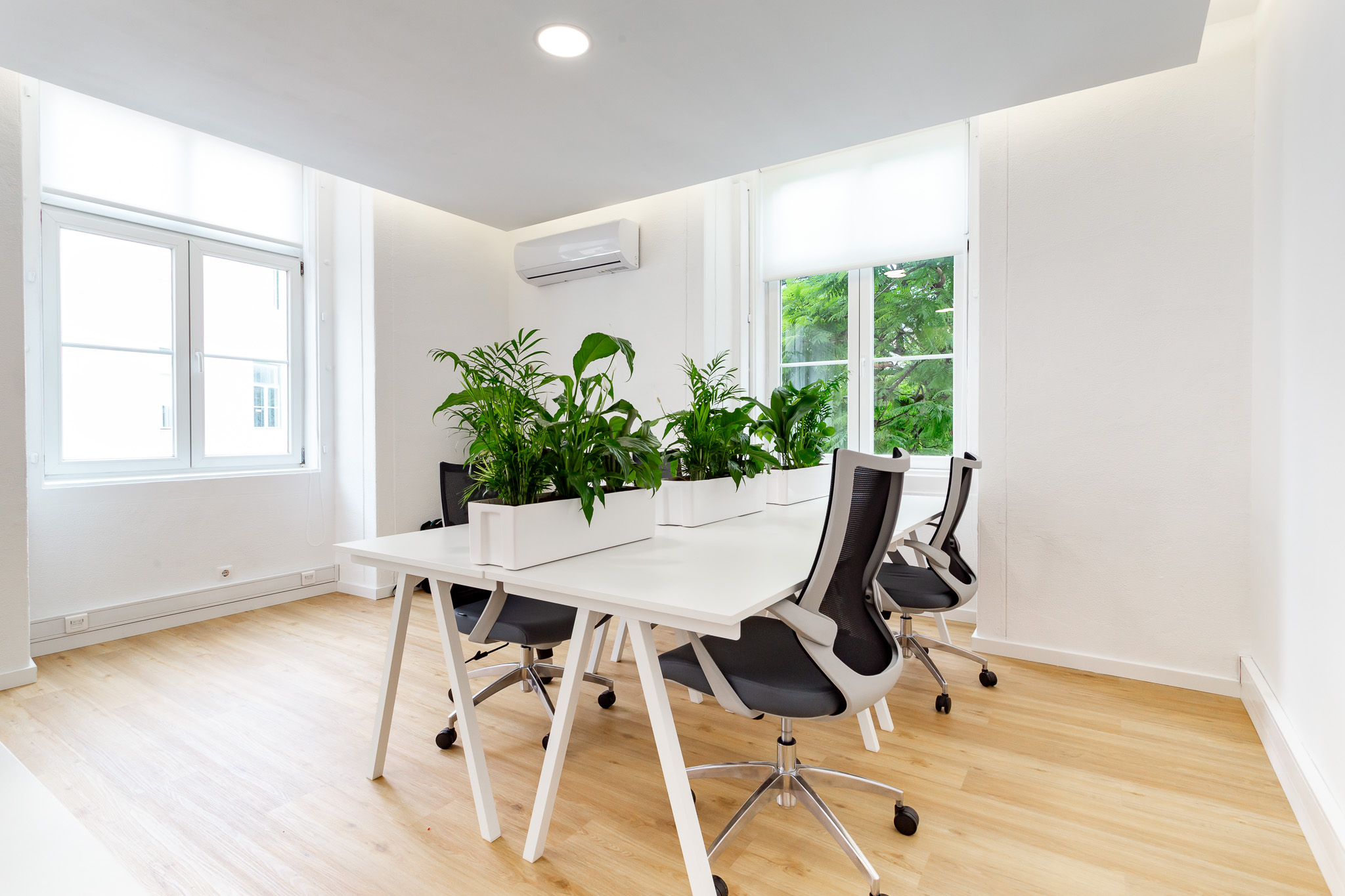 SparkyHeads Lda image 2