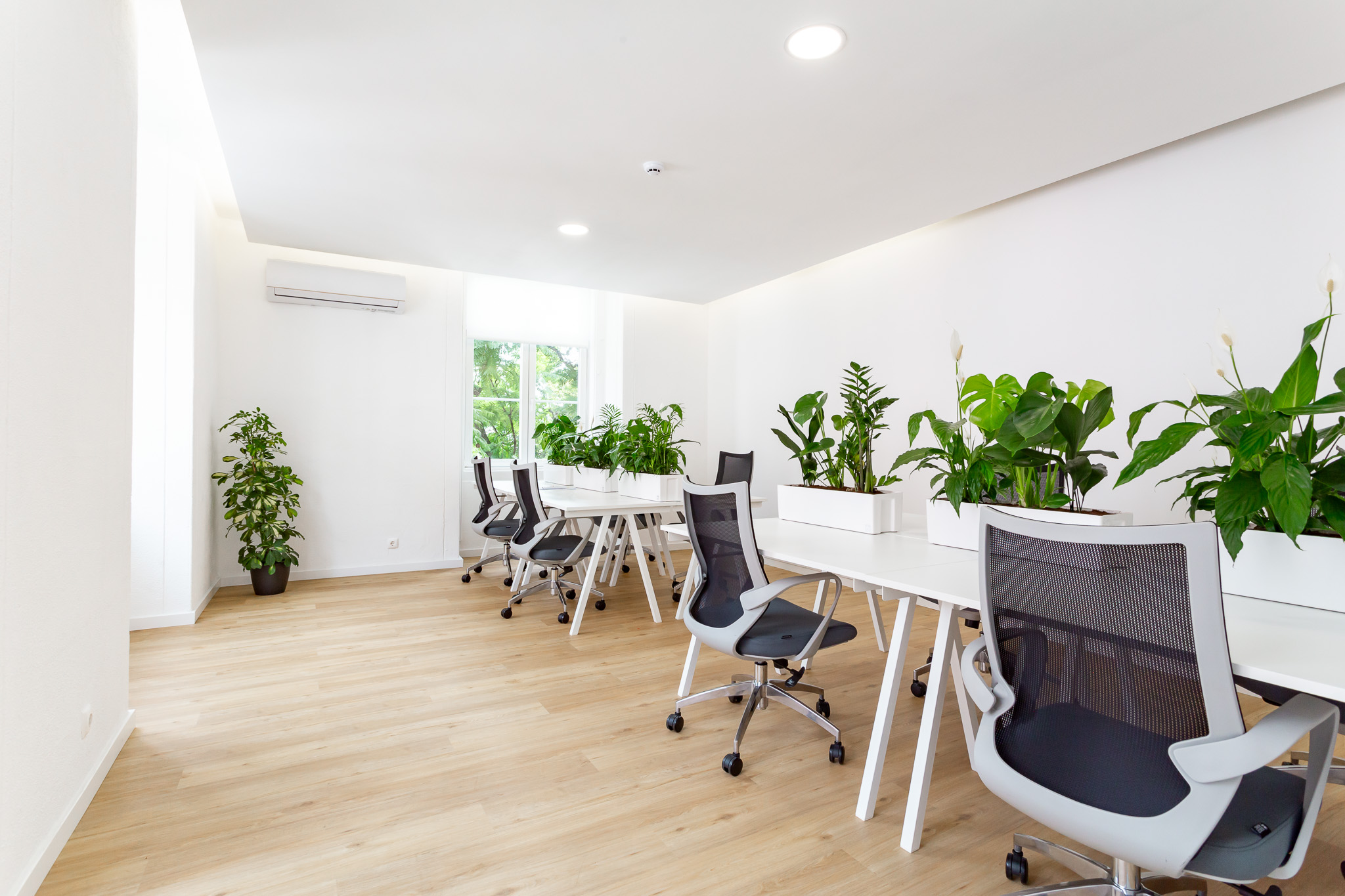 SparkyHeads Lda image 4