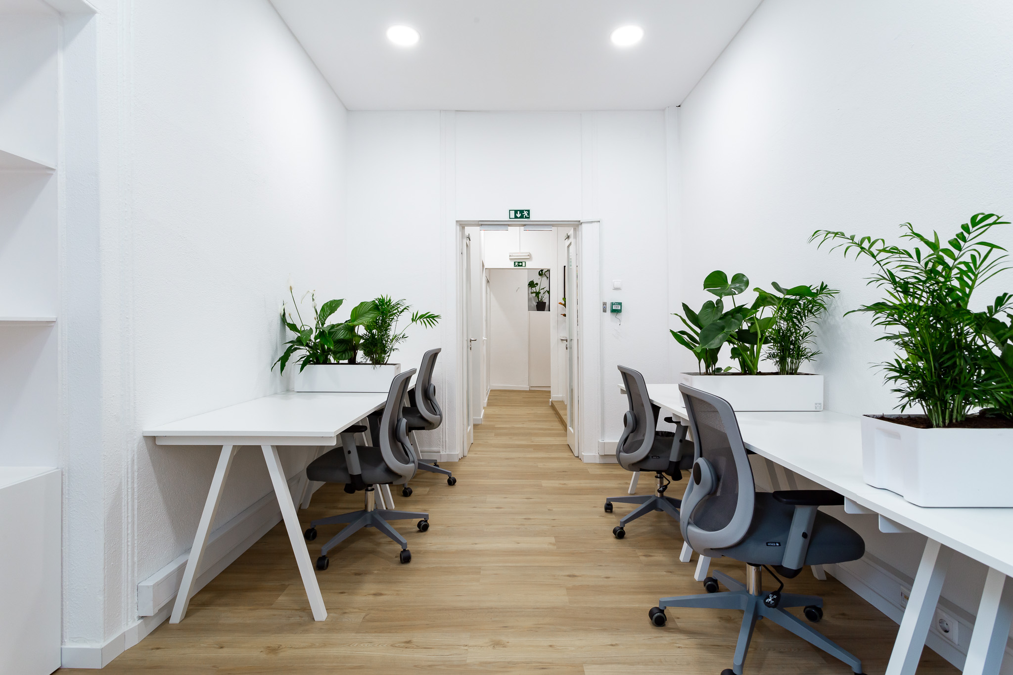 SparkyHeads Lda image 5