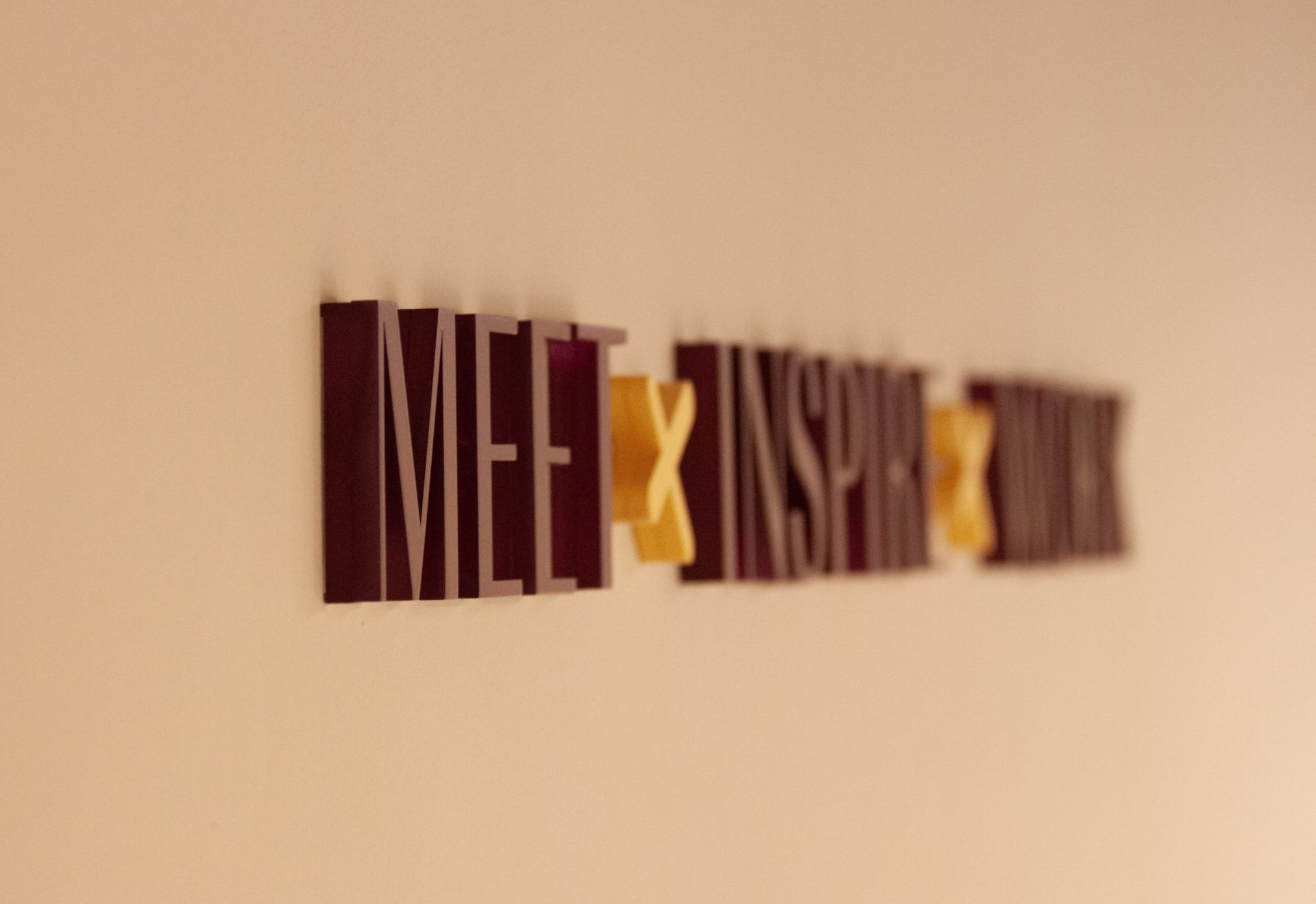 The Hare and The Tortoise image 3