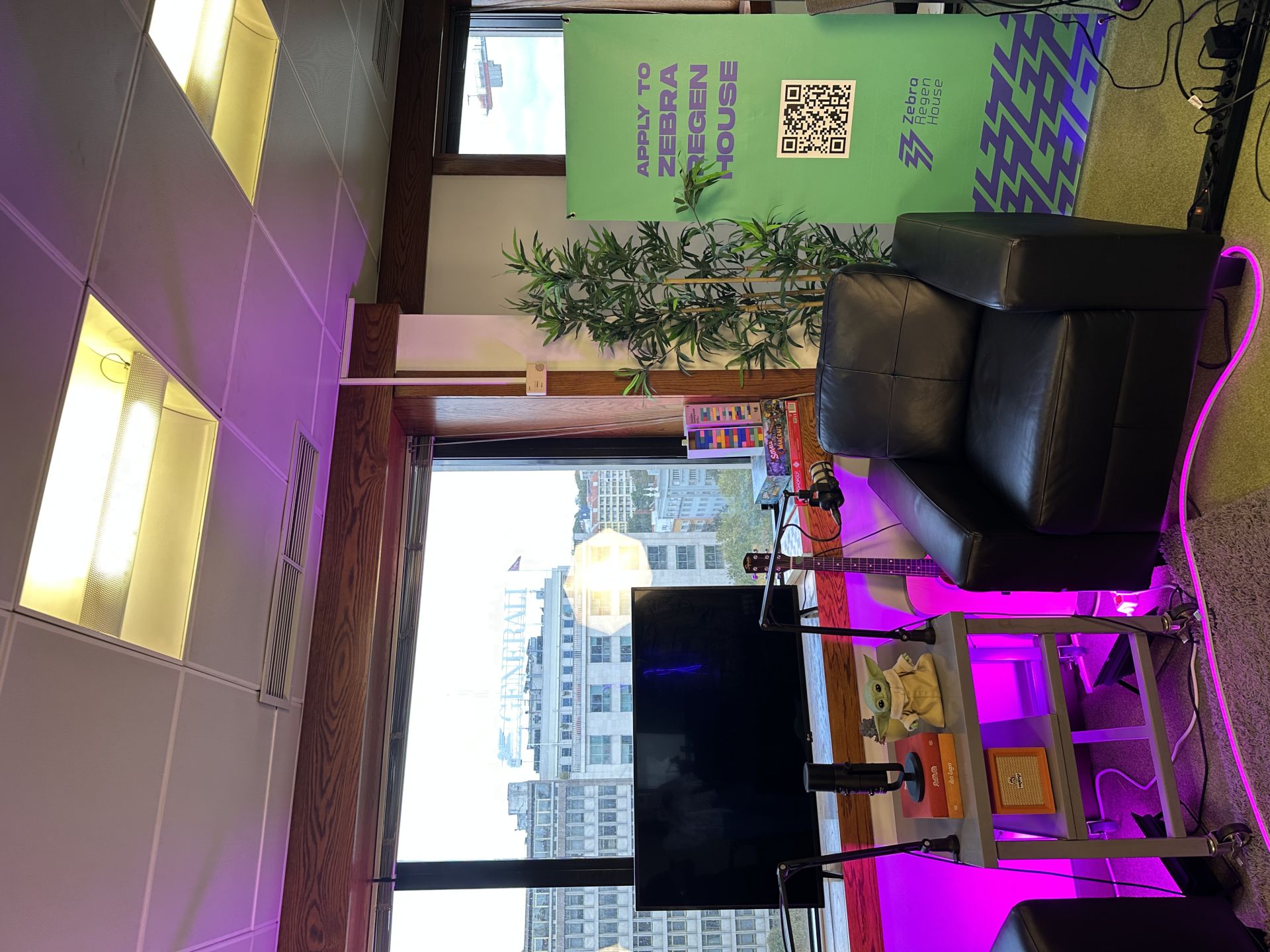 Zebra Regen House image 2