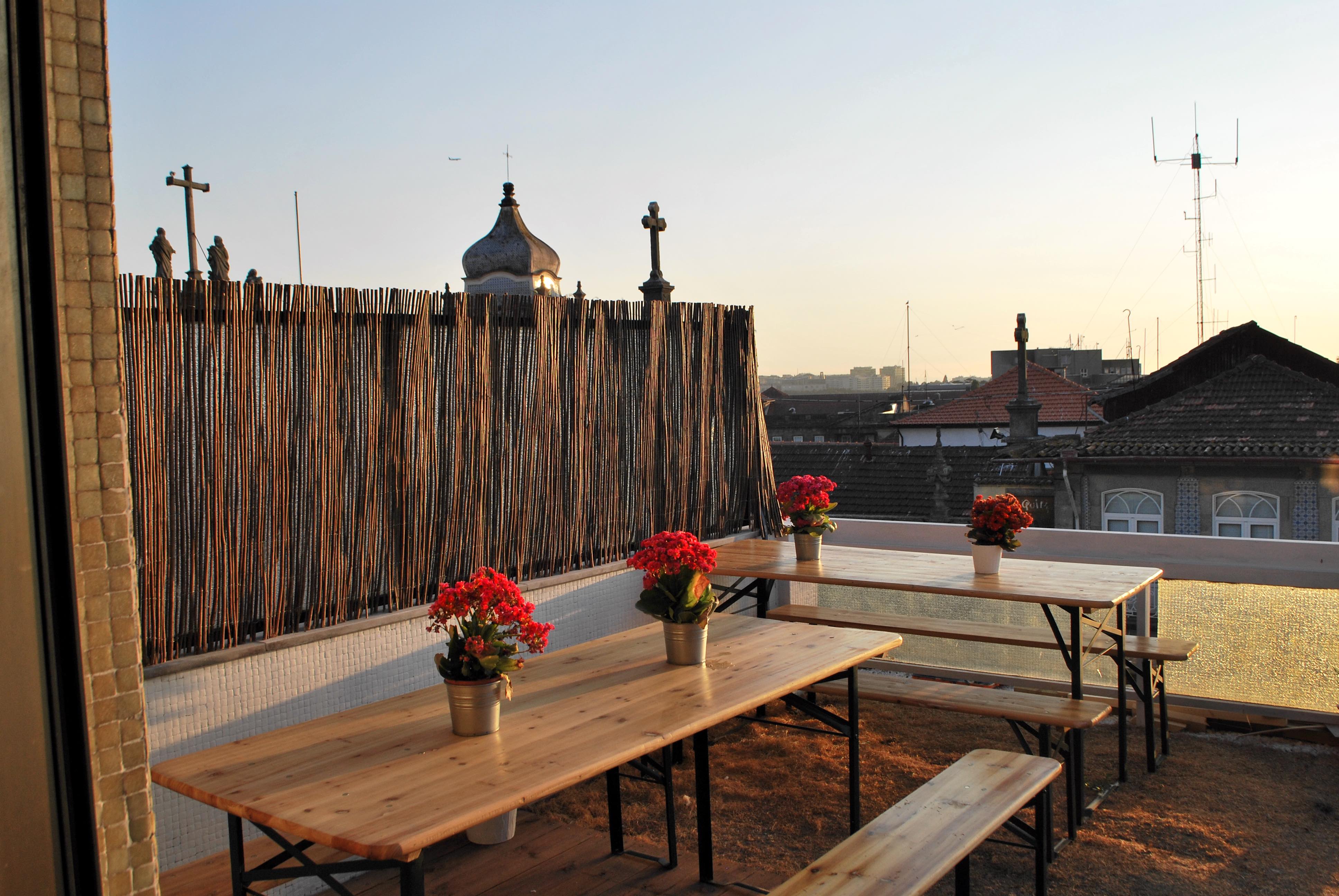 Dr. Schnapps image 1