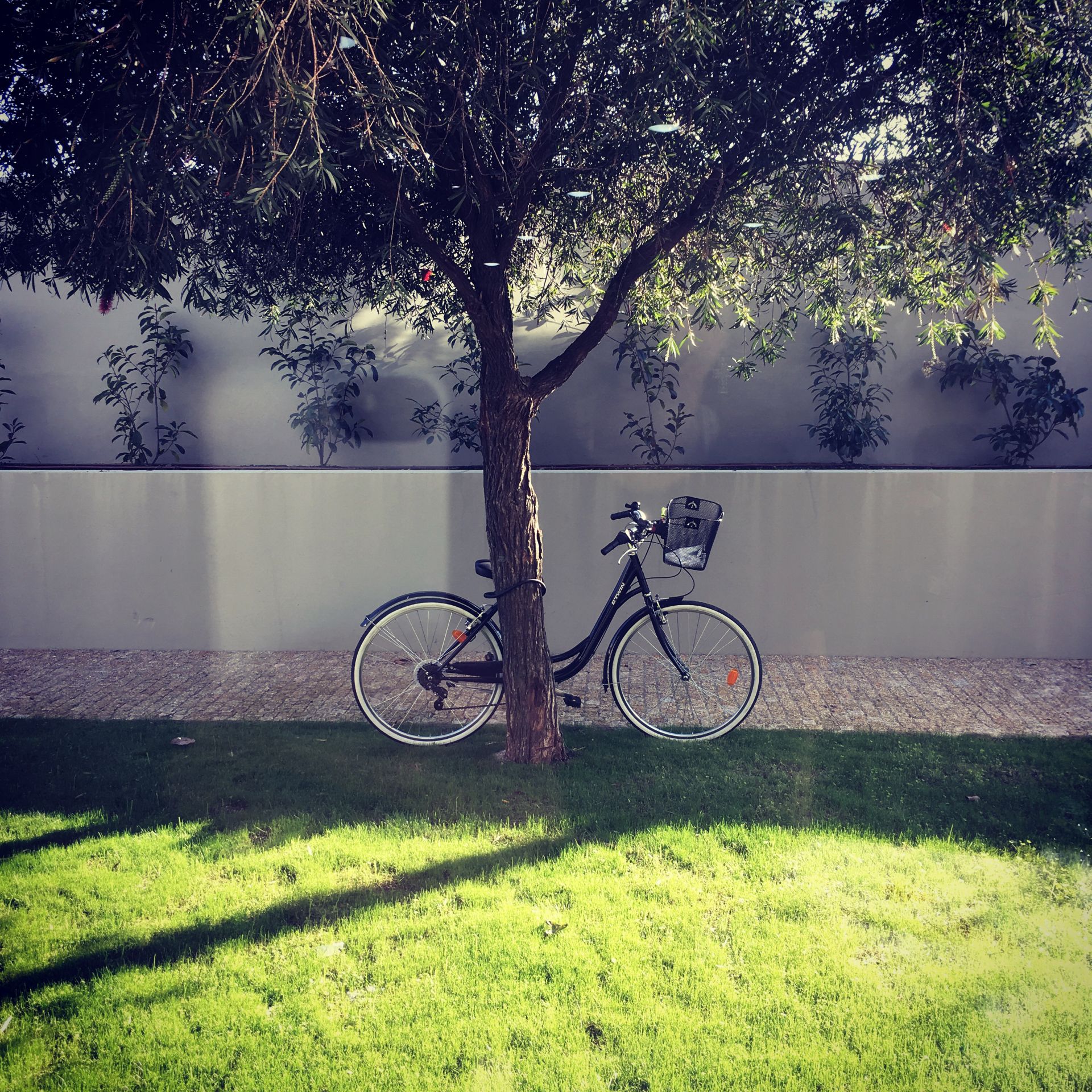 WOW_Work On Wood image 4