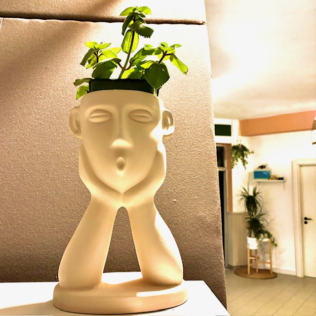 Orca Co-work image 4