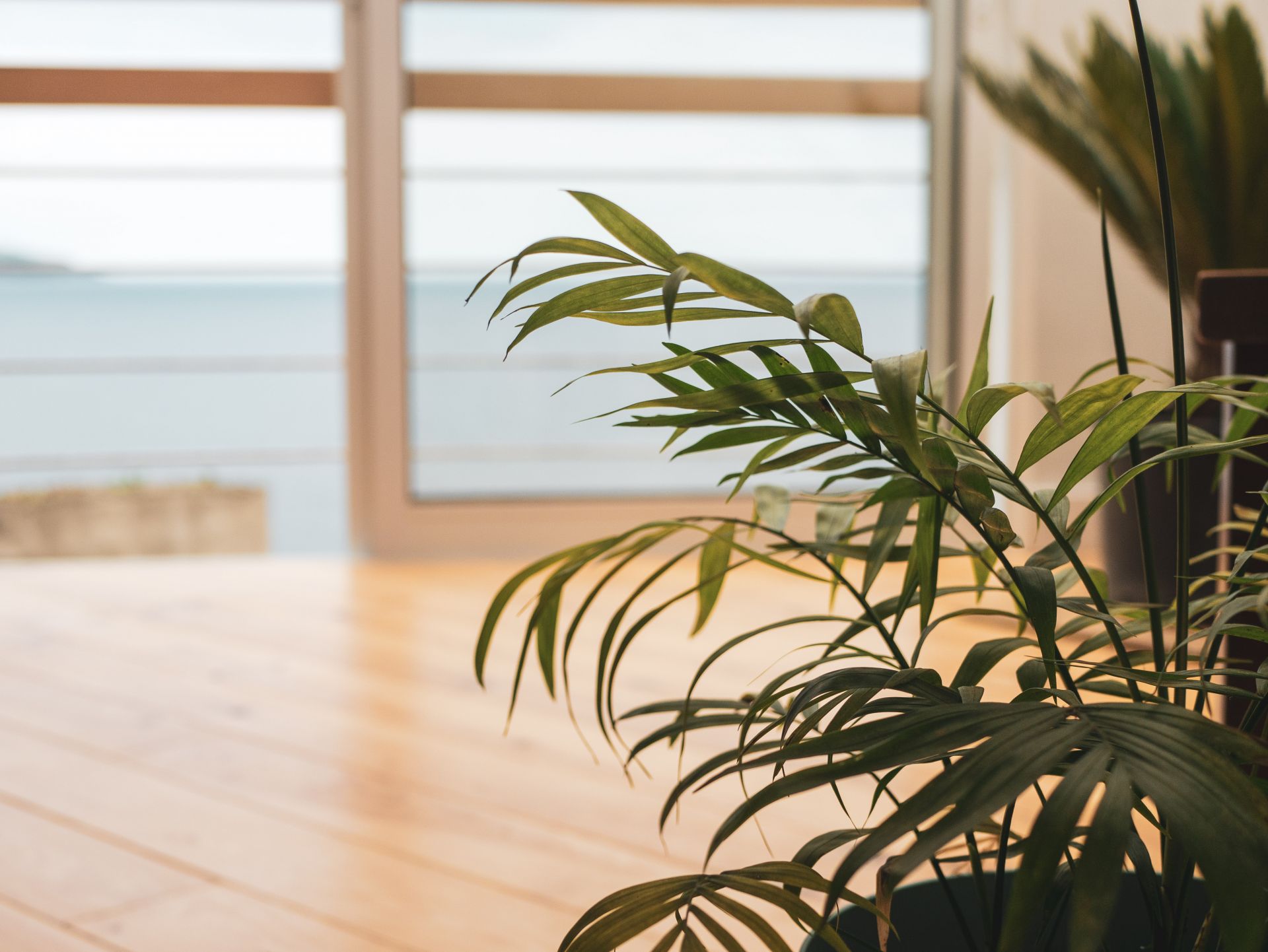 Dwell Azores Co-working & Accomodation image 2