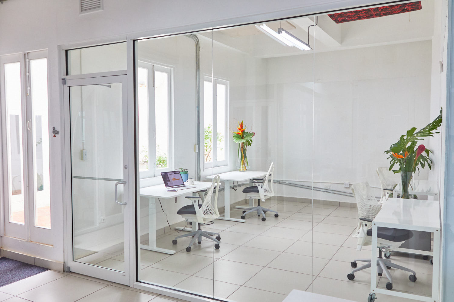 Piloto 151 Old San Juan image 3