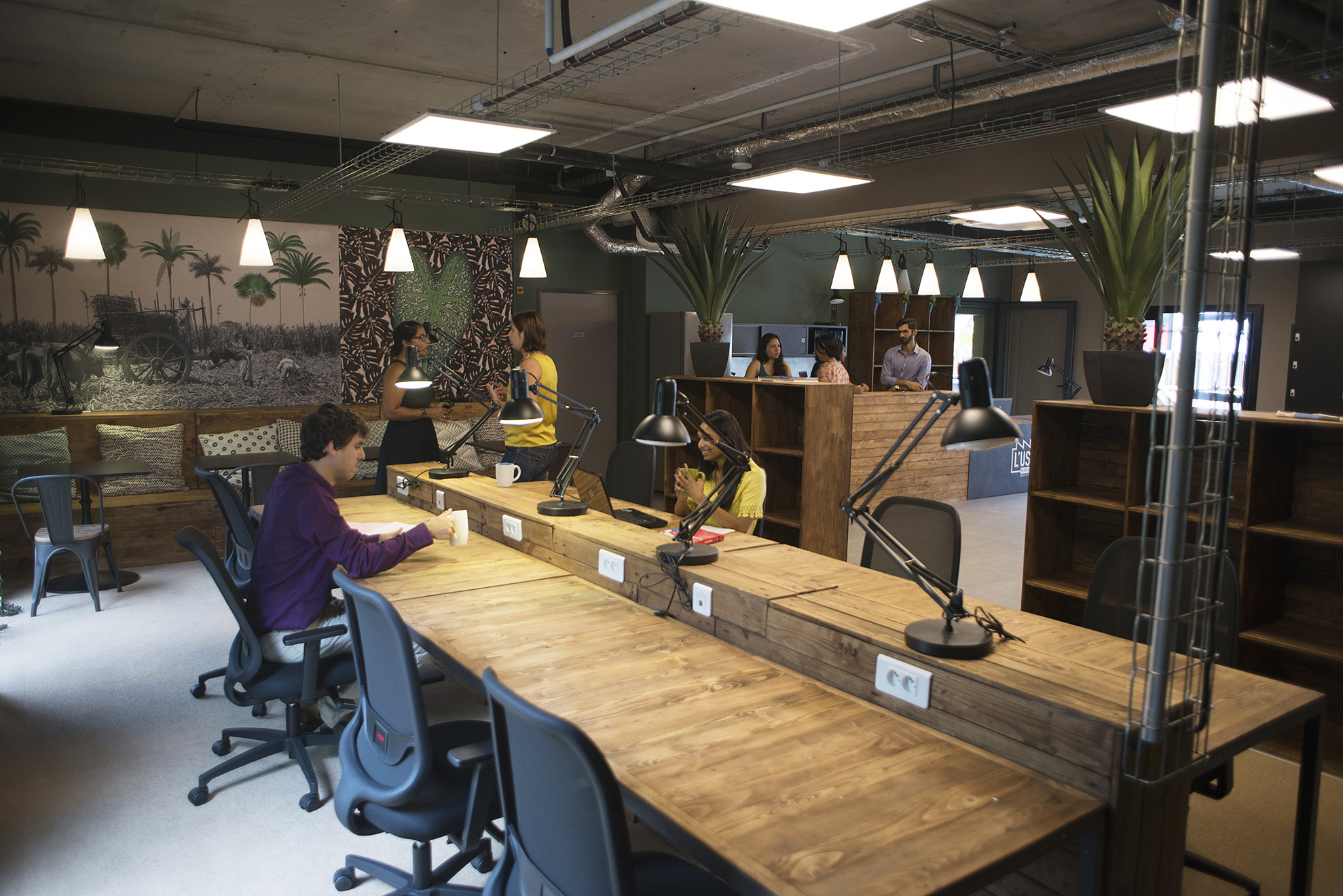 LIZINE by CBo Territoria, Sainte-Marie image 4