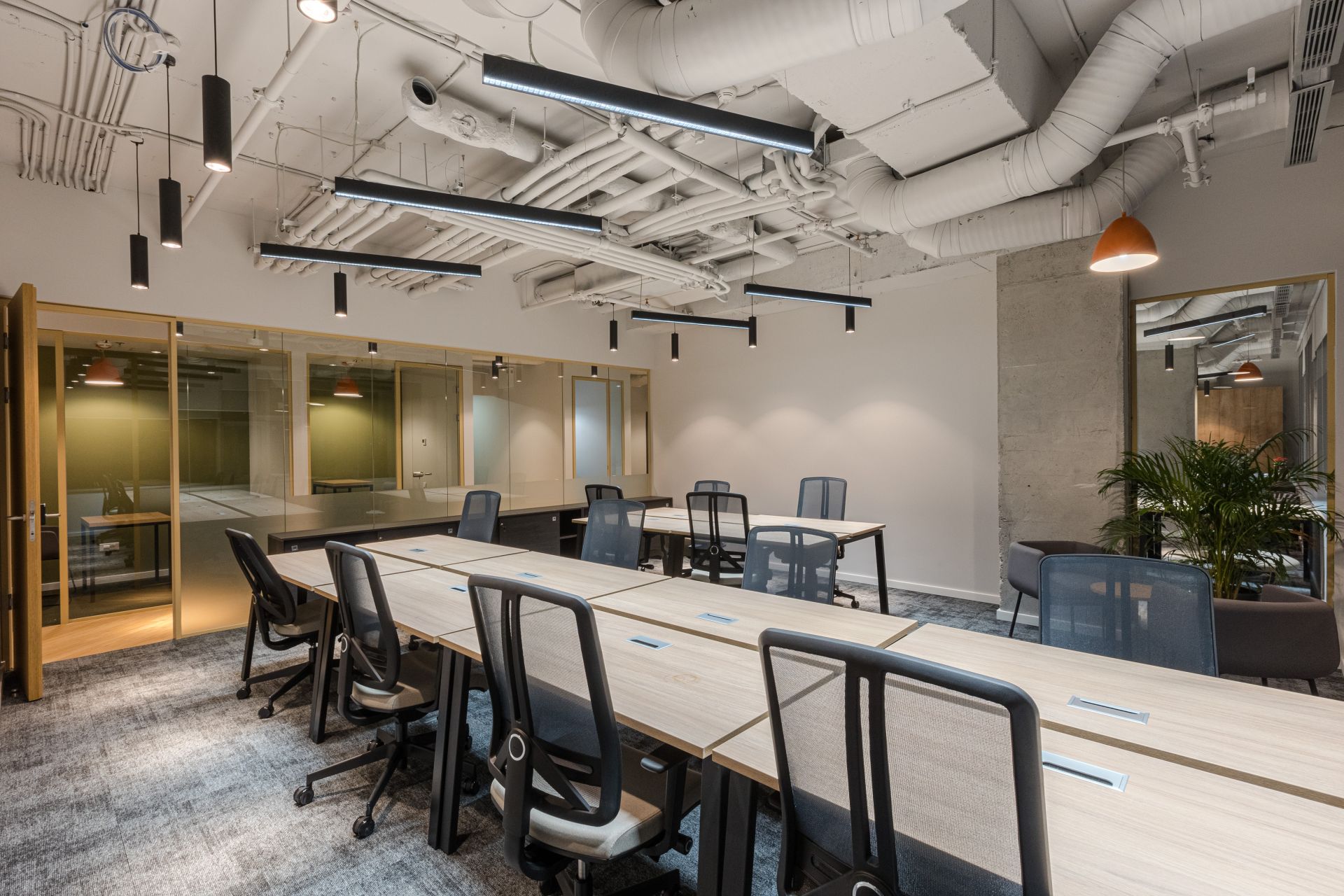 betahaus | victoriei image 3