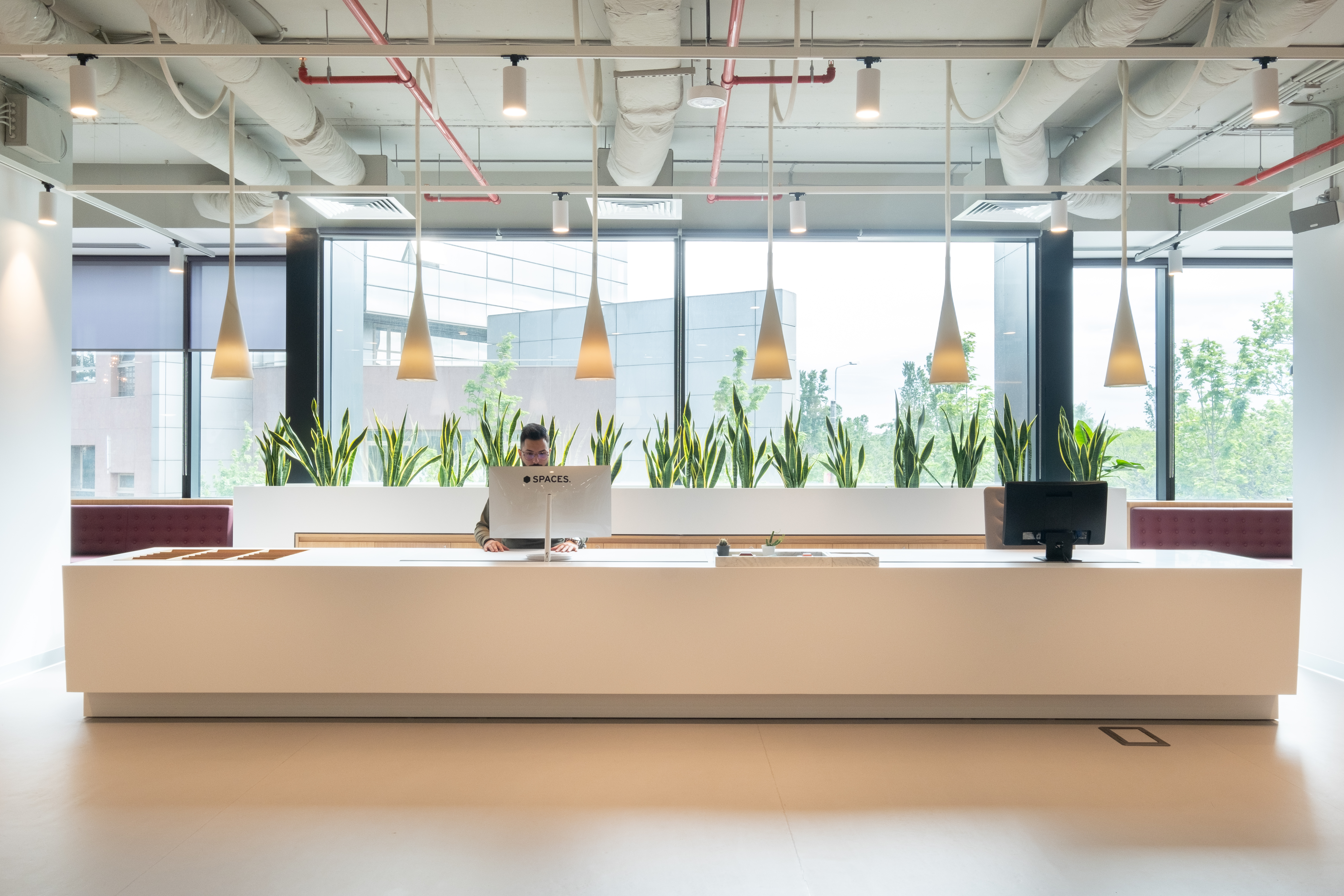 Spaces - Bucharest, Spaces Campus 6 image 4