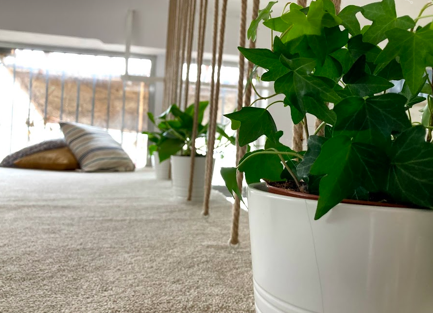 The Legacy | Bucharest image 5