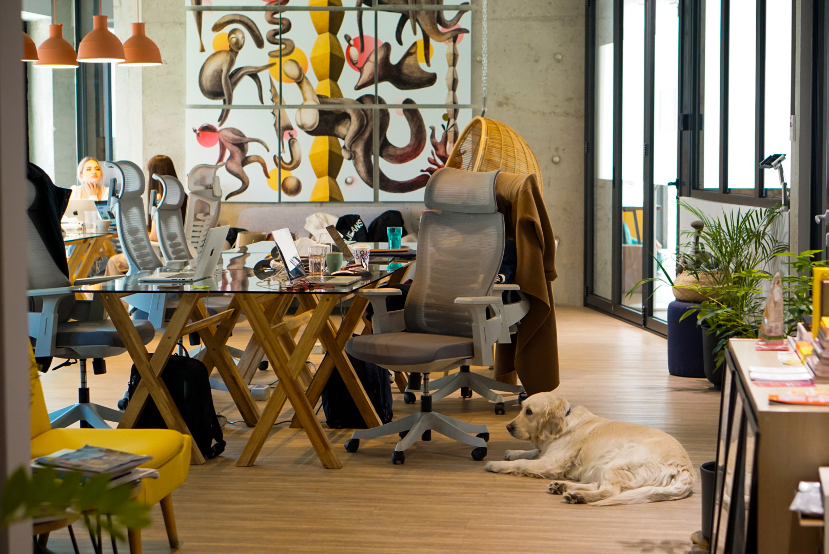 V7 Startup Studio image 2