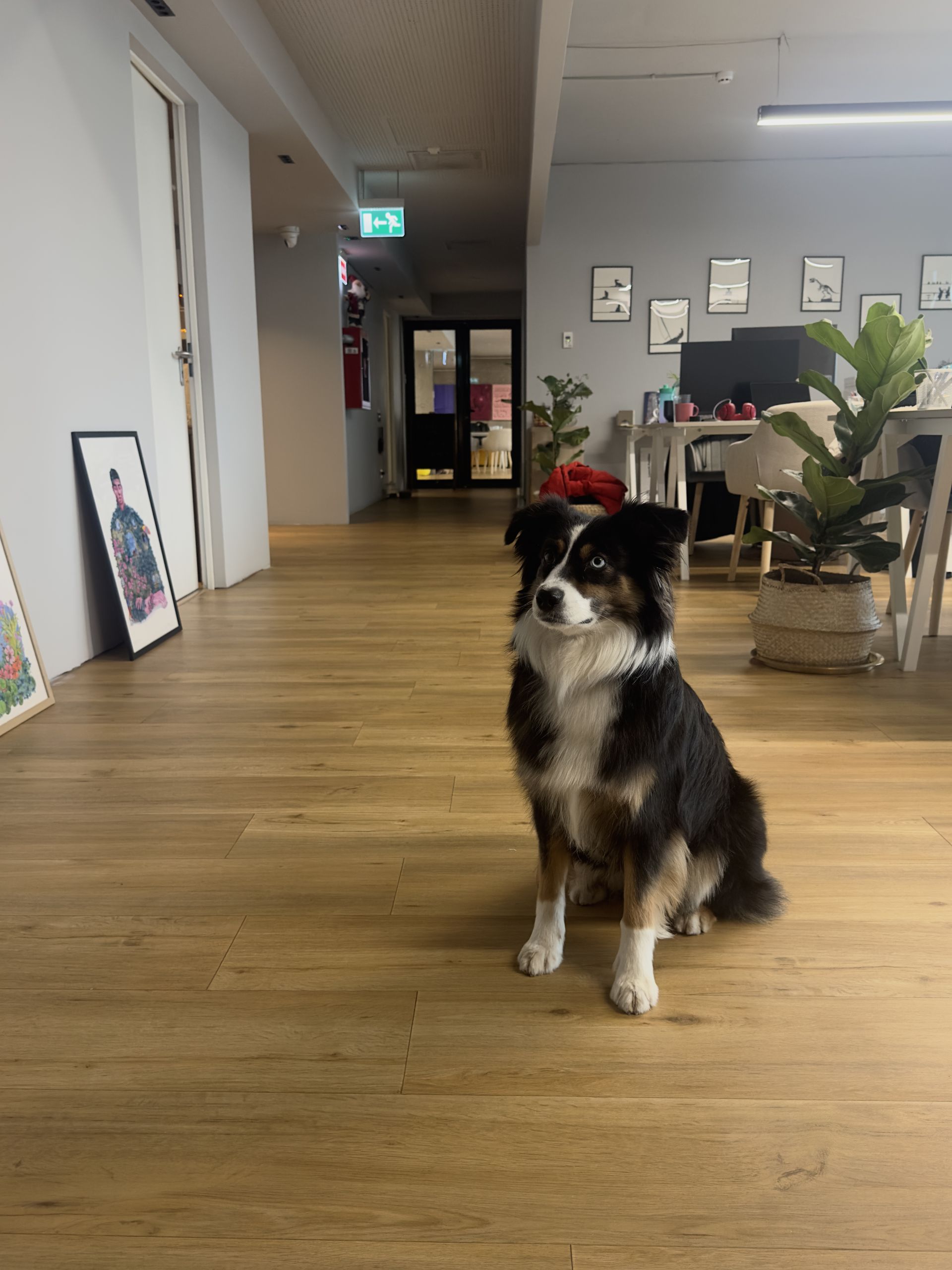 V7 Startup Studio image 4