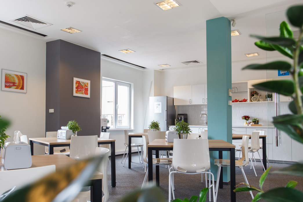 Silicon Forest image 4