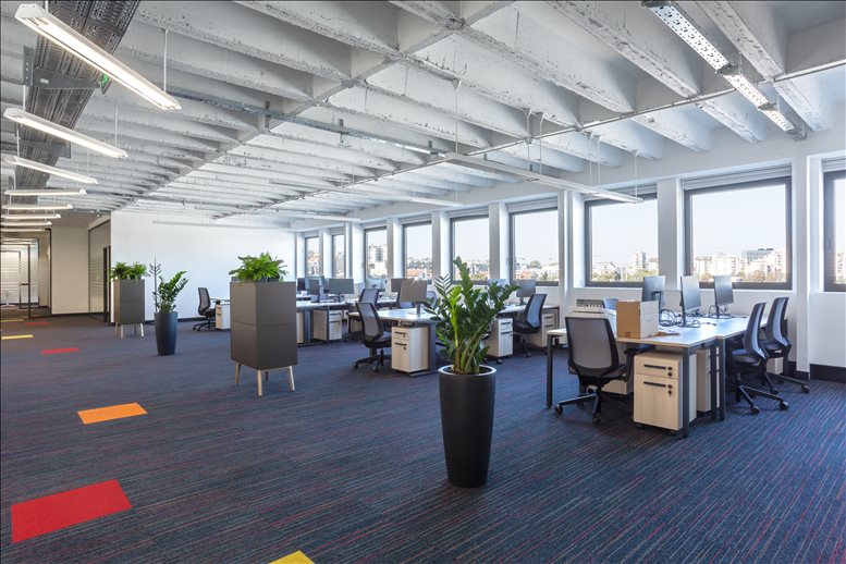 We Share Space image 2