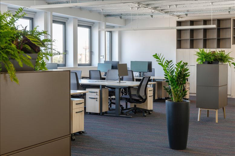 We Share Space image 3