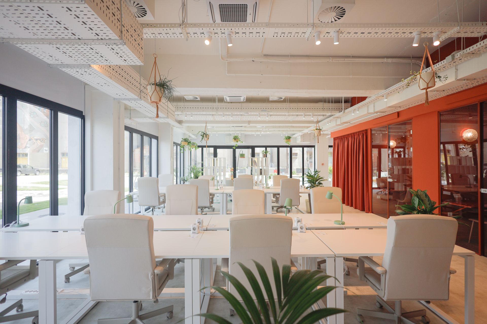 Haos Community Space - Artklasa image 2