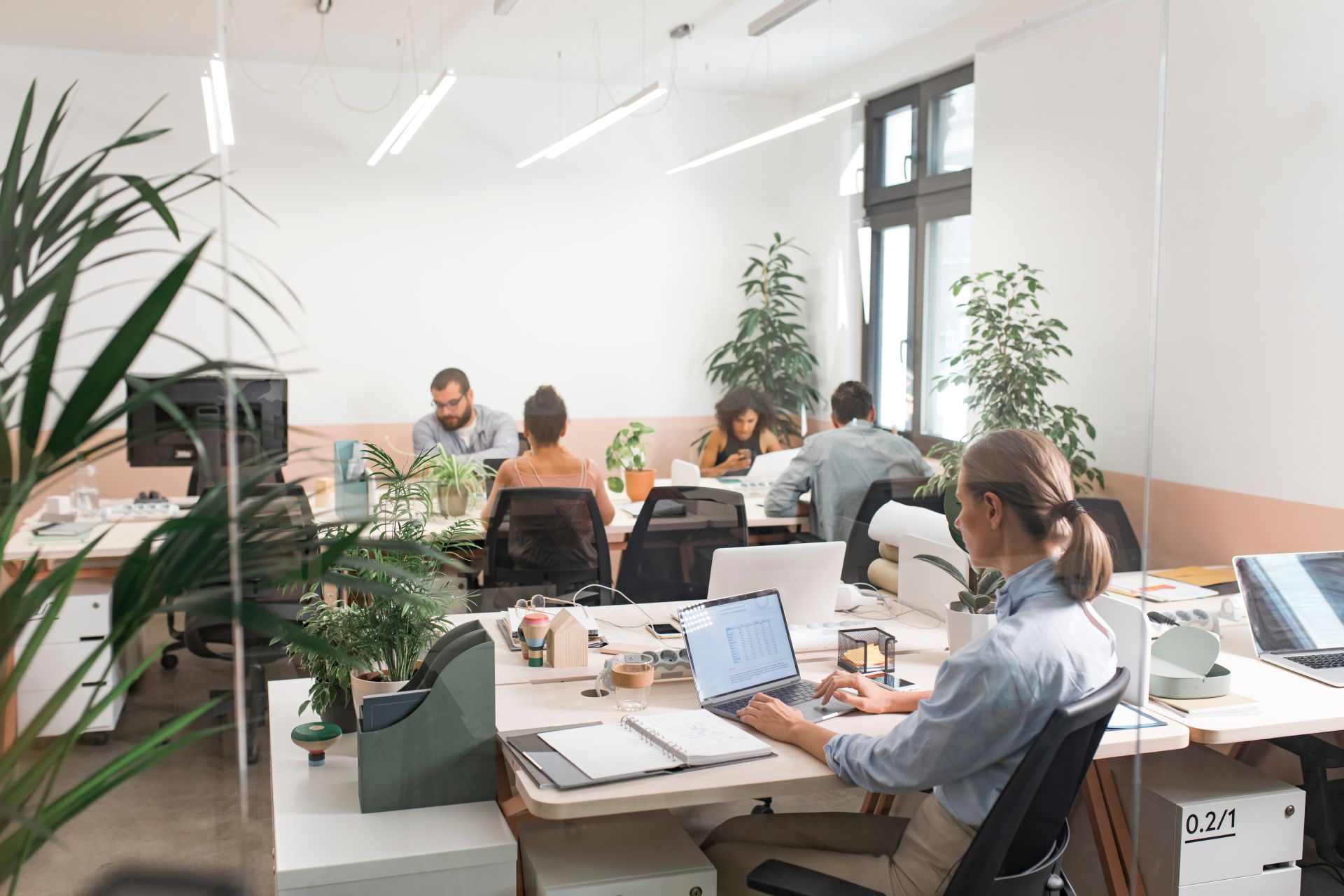 Nova Iskra Workspace - Dorcol image 2