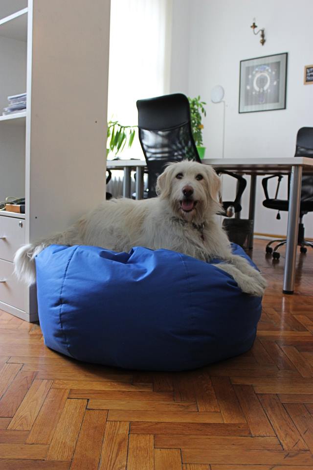 Smart Office image 5