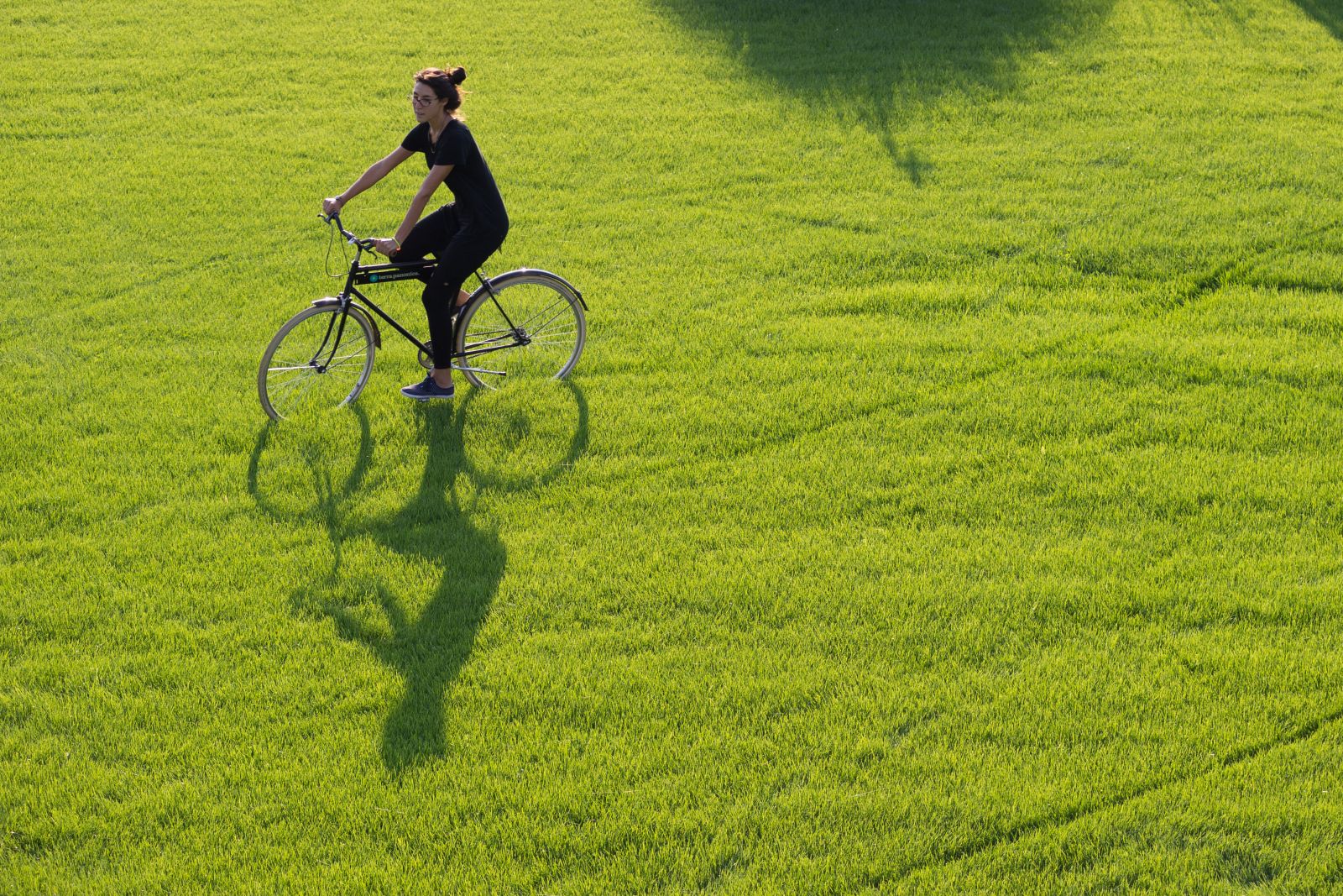 Mokrin House image 5