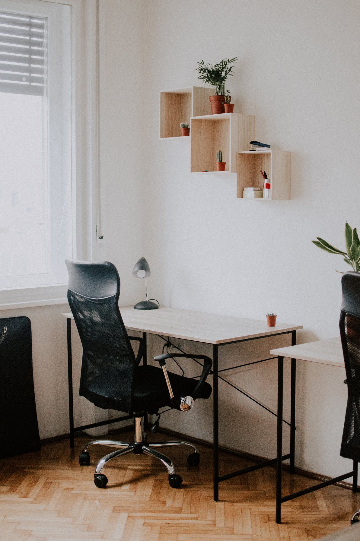 KC Lab, Novi Sad Book Online Coworker